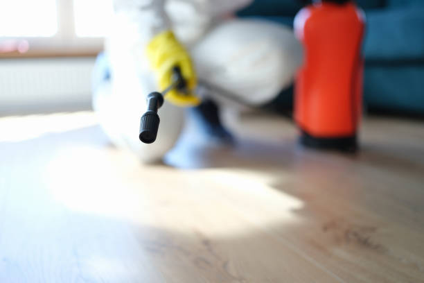  Plainview, MN Mold Removal Pros
