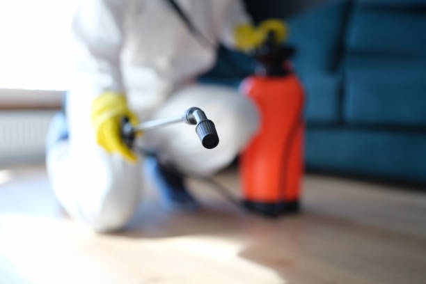 Best Mold Remediation for Healthcare Facilities  in Plainview, MN